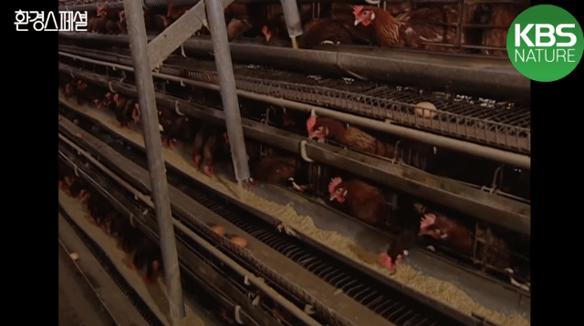 88c493aaf970e791461f9b028b8186b7ff64e898