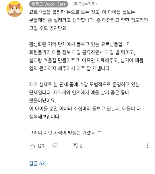 아깽이보다 100배는 만나기 어려운 묘르신들 | 인스티즈