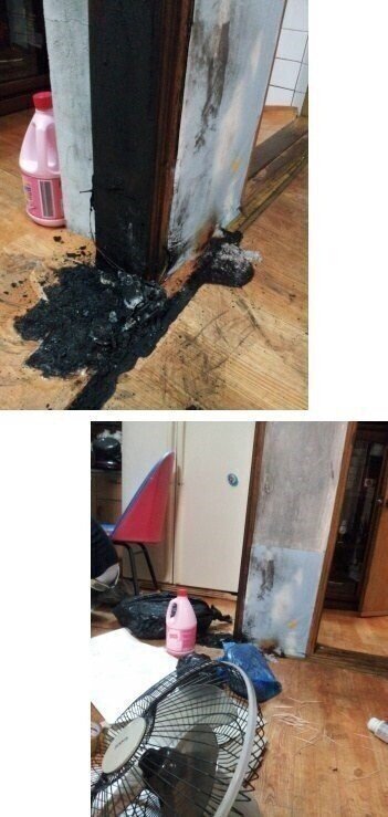 댕댕이 키우는 집은 전기장판 조심해야하는 이유.JPG | 인스티즈