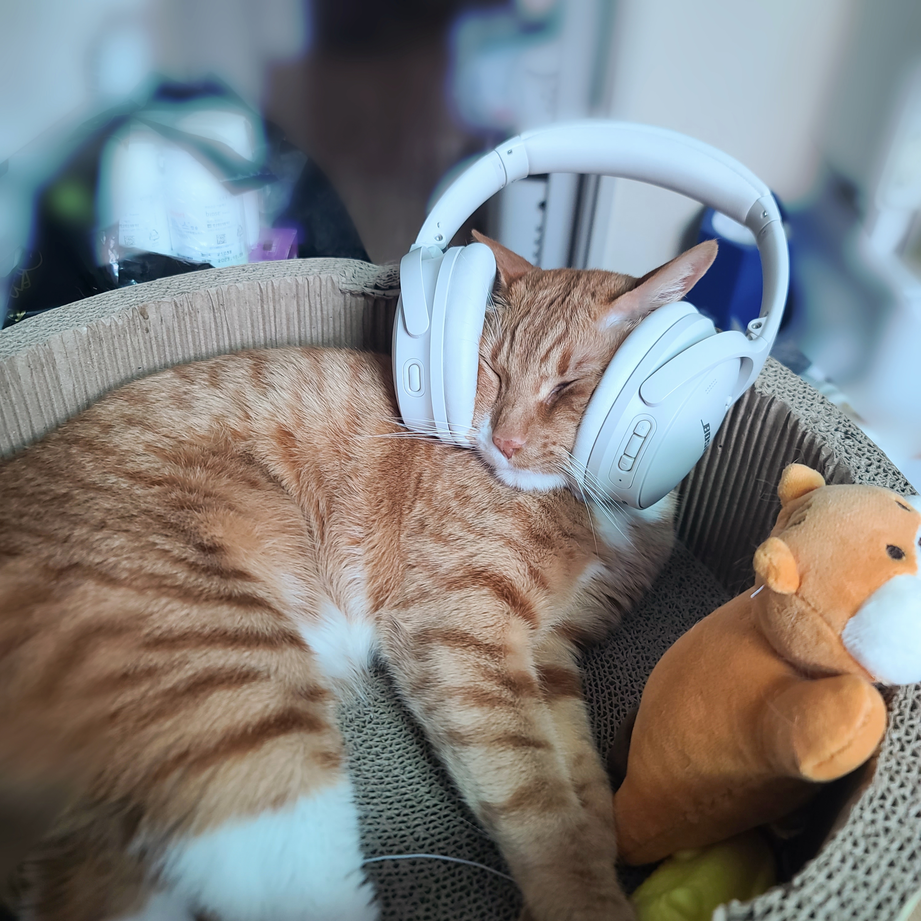 가... | 인스티즈