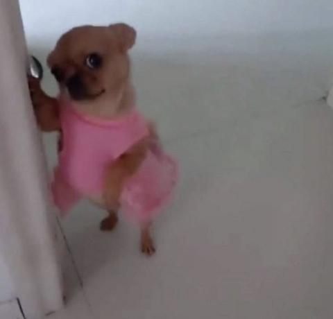 인스타 부계에 힘들때마다 올린짤 모음Zip | 인스티즈