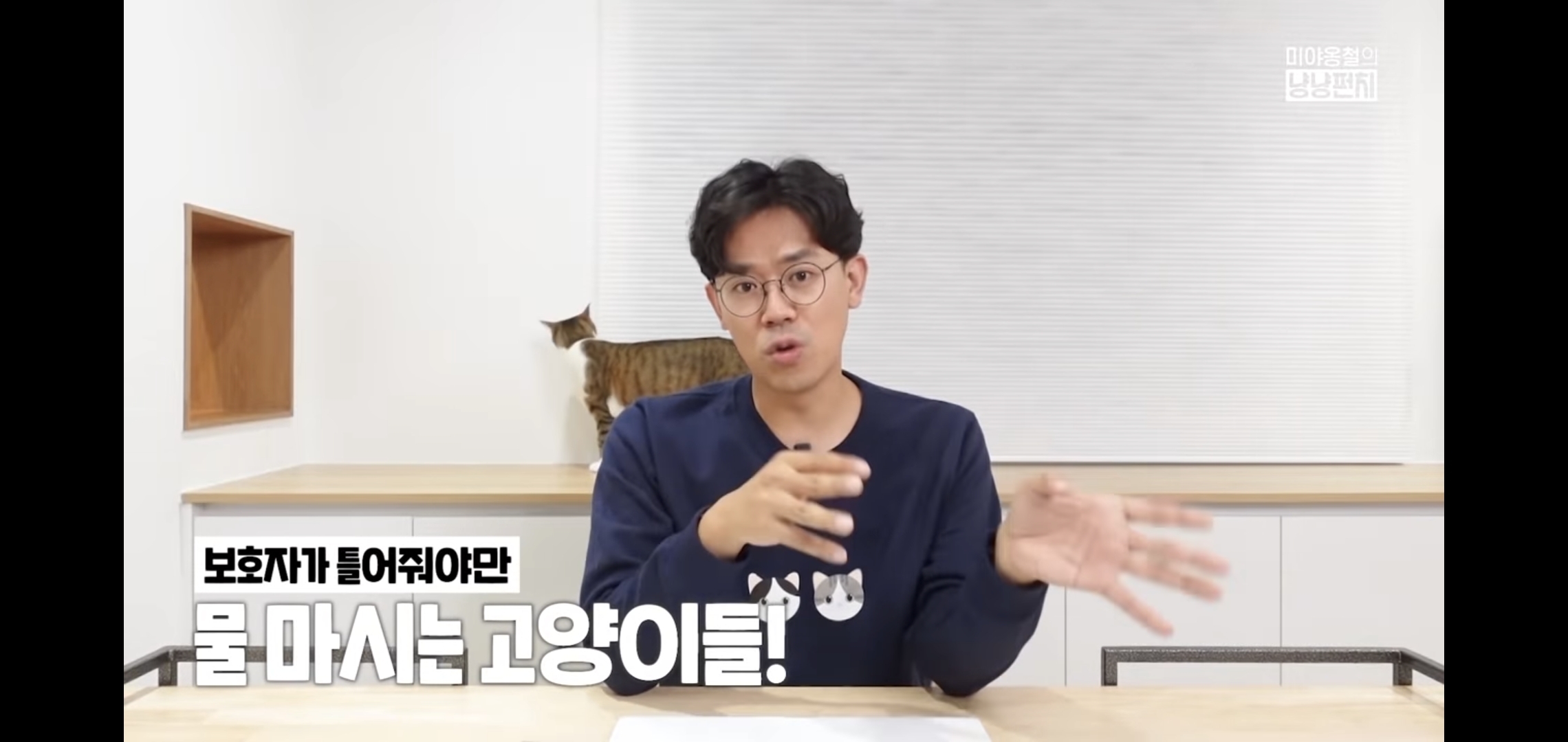 고양이 분리불안을 만드는 집사의 5가지 행동.jpg | 인스티즈