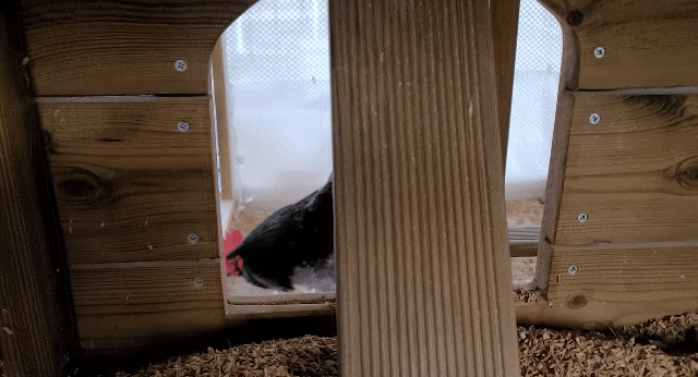 매맞는 삶을 살고 있는 매탈남 근황.jpgif | 인스티즈