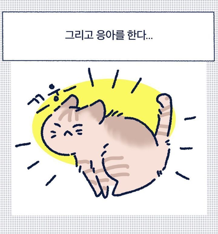 아깽이들은 왜...? | 인스티즈