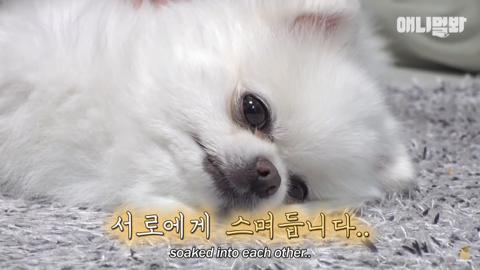 밤낮없이 집 도어락을 누르는 누군가때문에 고민인 부부 | 인스티즈