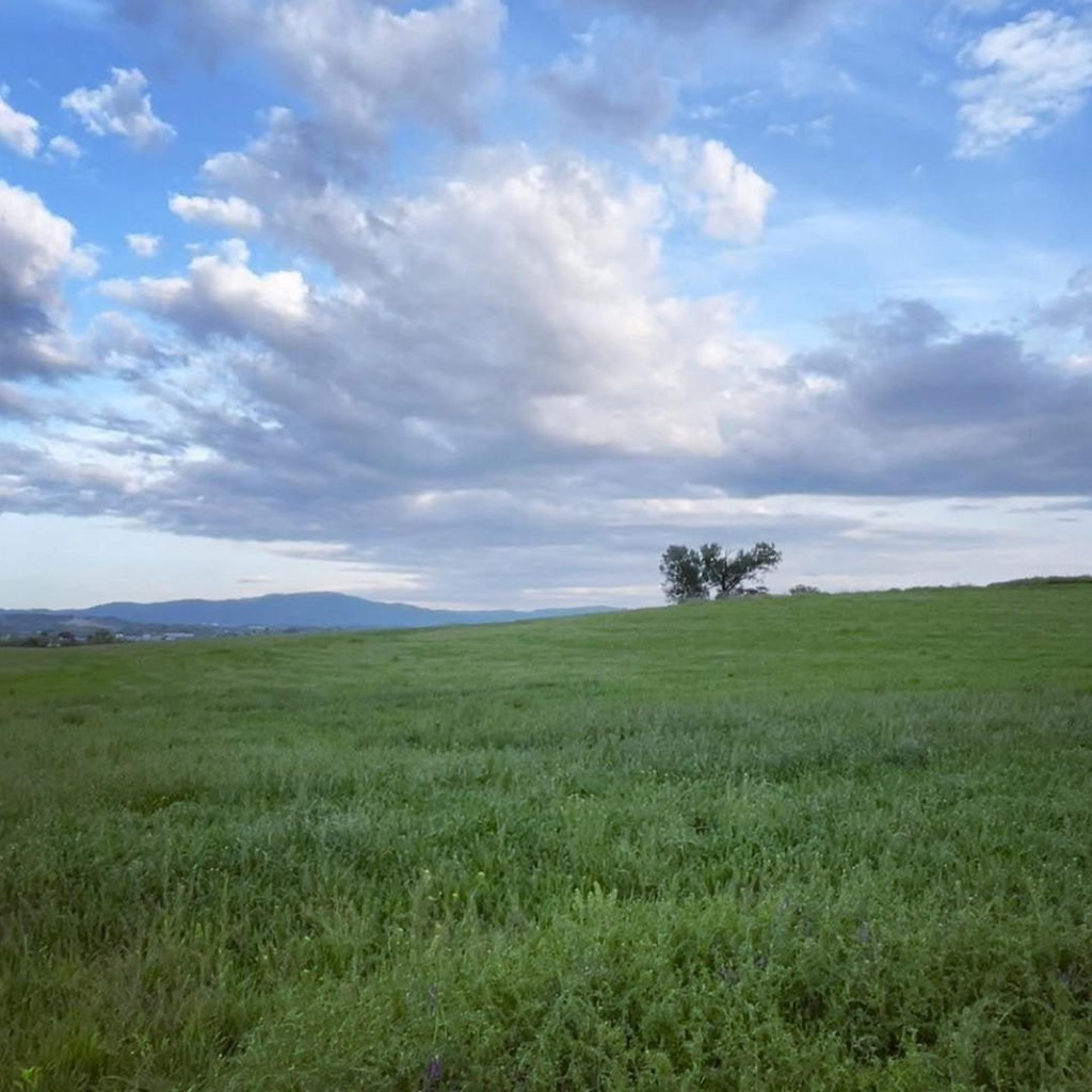촬영 장소만 봐도 분위기 느껴지는 넷플드 안나라수마나라 | 인스티즈