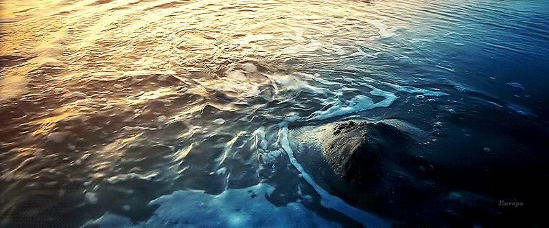 영화 헤어질결심 1막이랑 2막중에 뭐가 더 좋았는지 고르는 달글 | 인스티즈