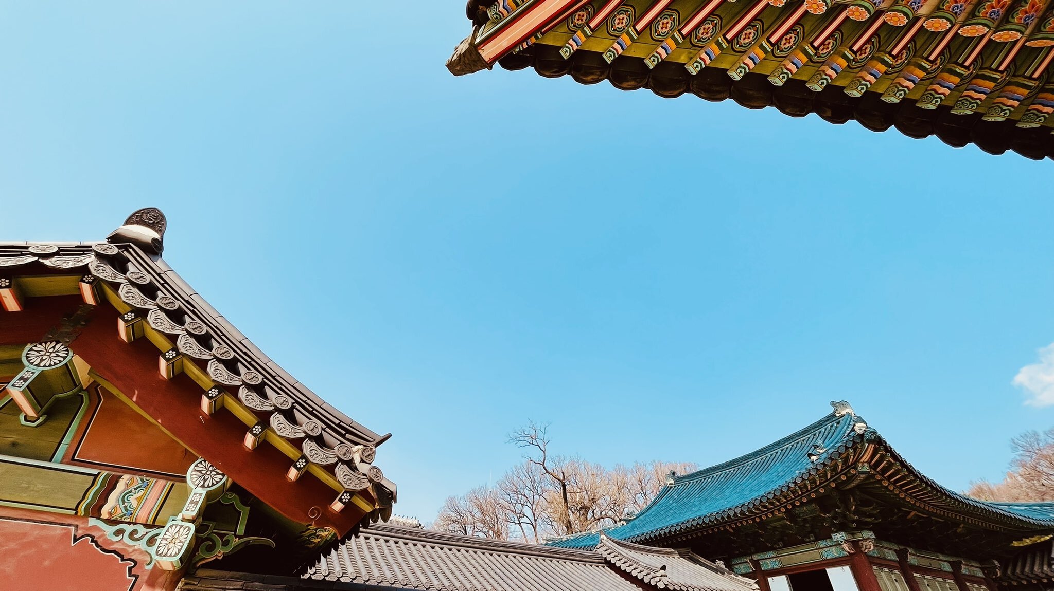 올해 가장 예뻤던 우리나라 문화재 사진 모음.twt | 인스티즈