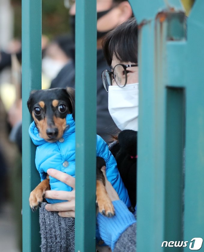 올해도 기대되는 '수능 강아지' 모음 | 인스티즈