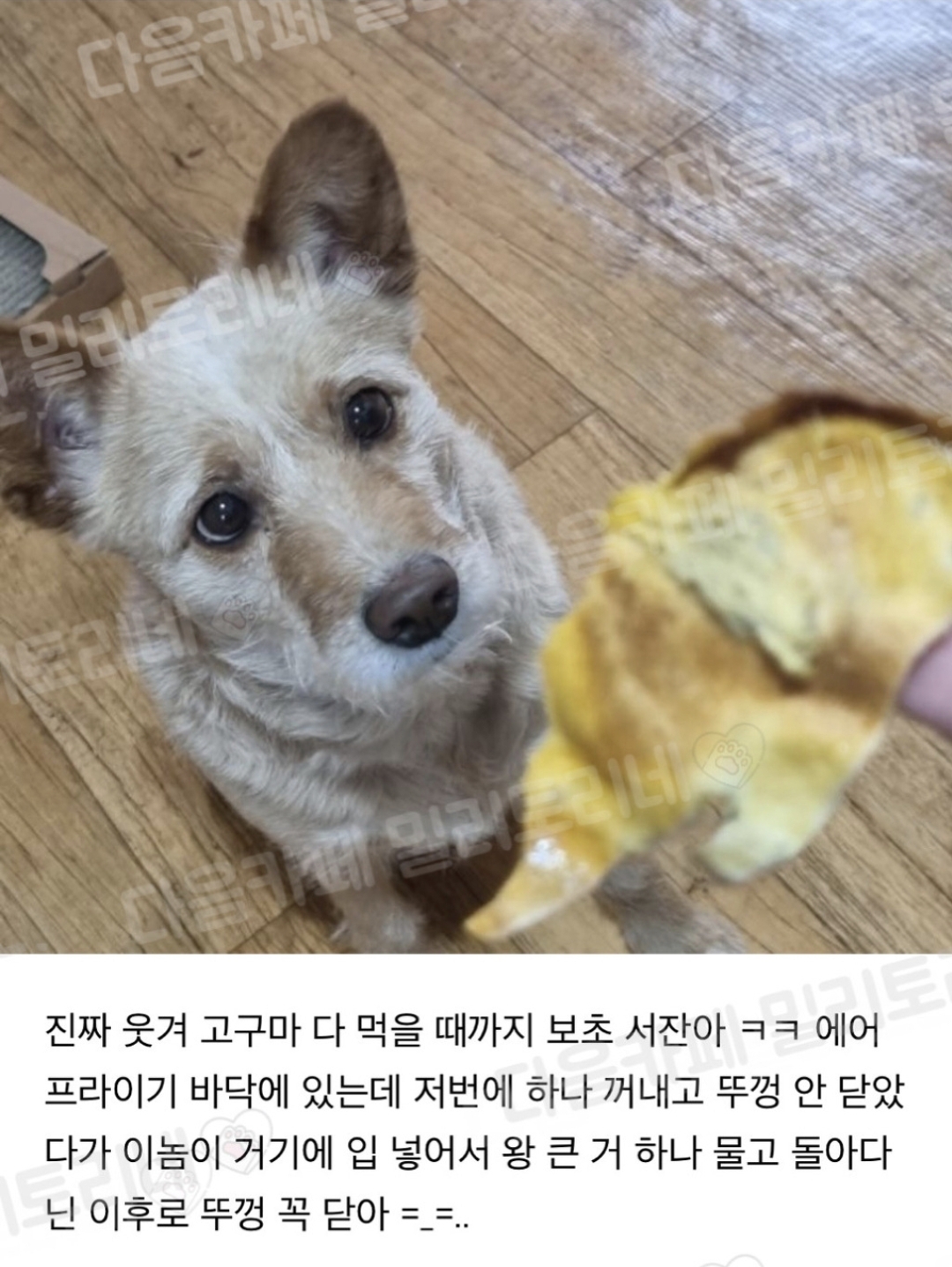 아 진짜 조용히 고구마 한입 물었는데 고구마 귀신 왔어 | 인스티즈