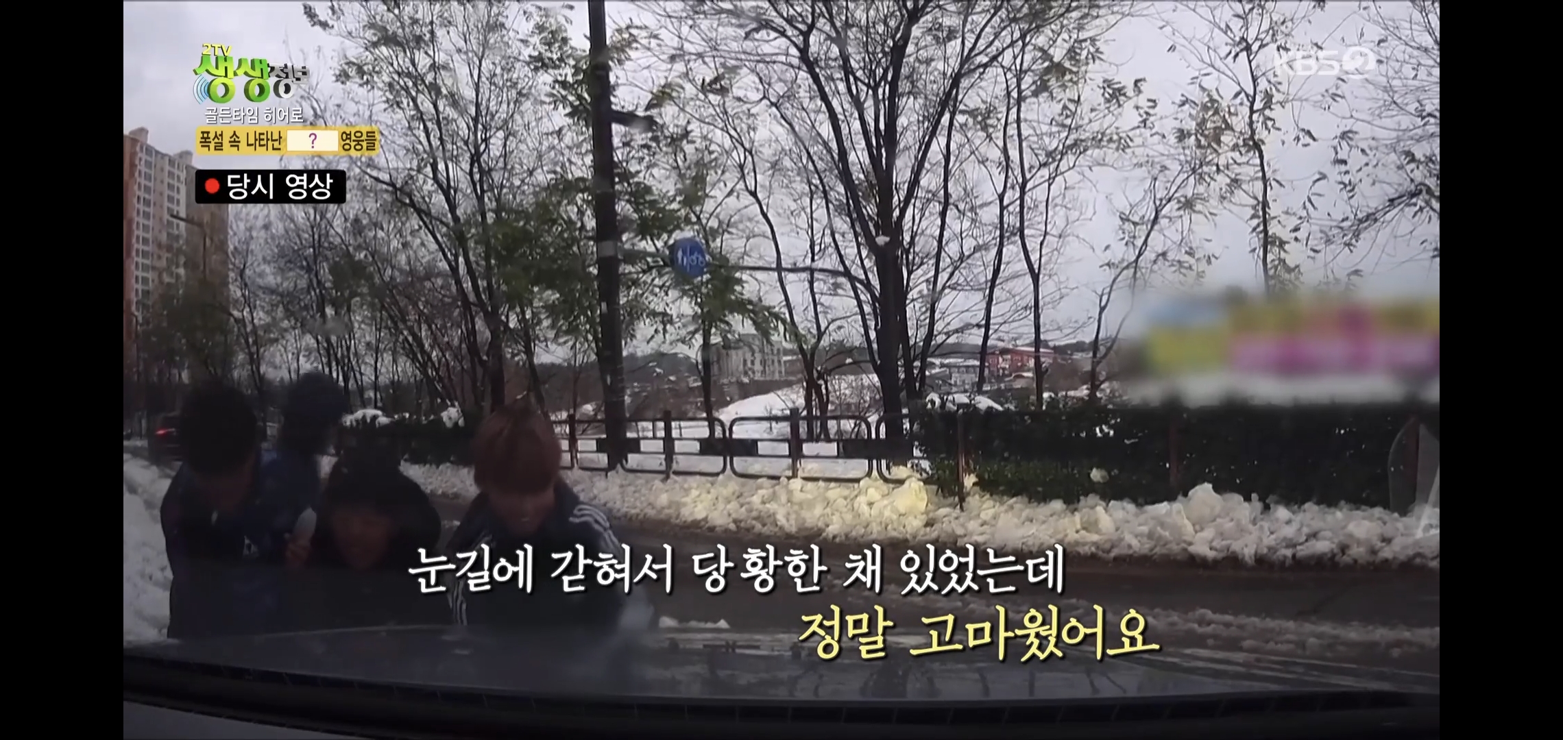 방금 생생정보통에 저번 폭설에 이슈였던 여시 나옴.jpg | 인스티즈