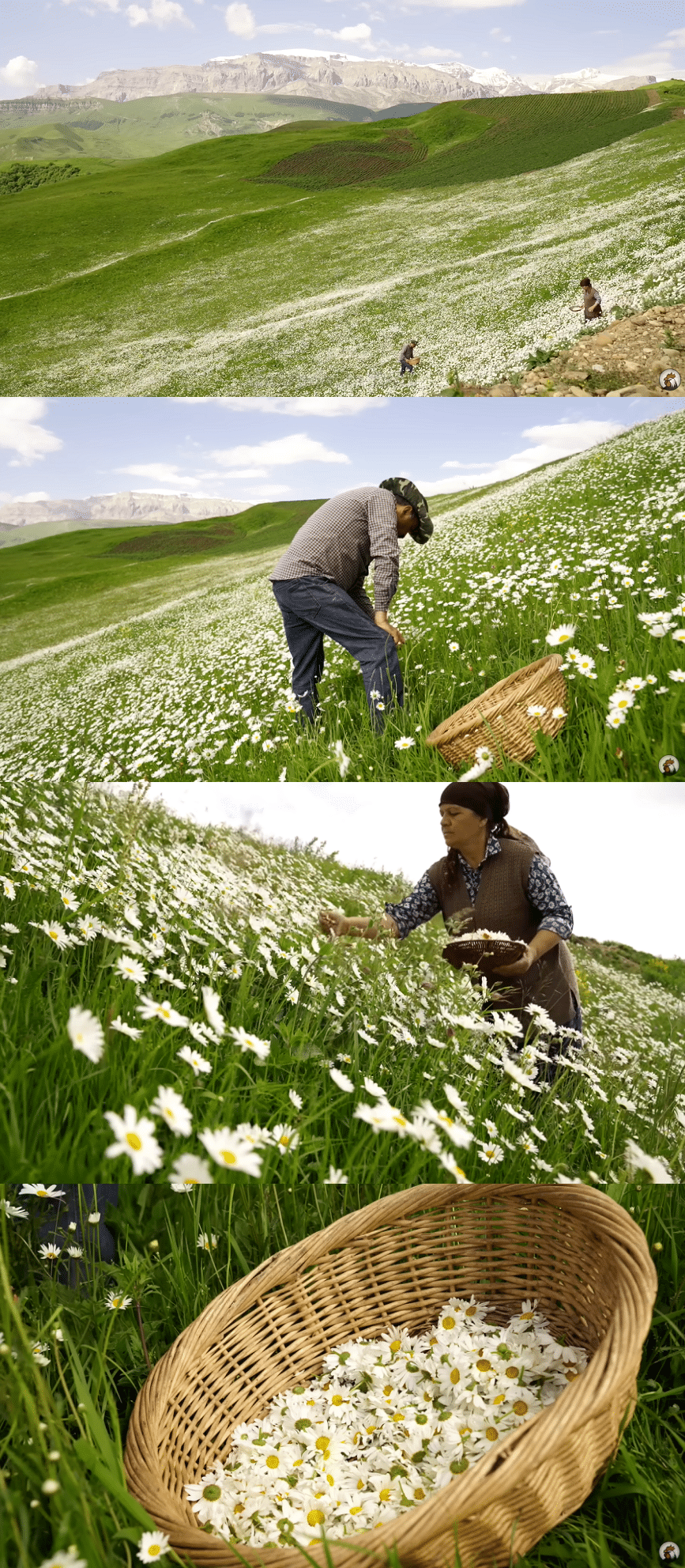 요즘 유튜브에서 은근히 인기 많다는 외국 시골 브이로그...jpg | 인스티즈