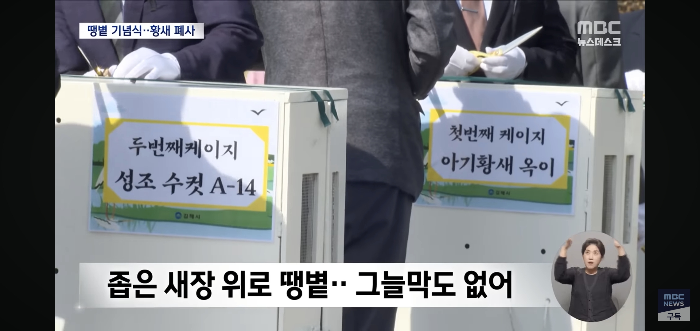 현재 환멸난다고 난리난 황새 폐사 사건.. 황새 폐사 직전 모습.gif | 인스티즈