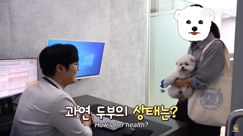 돌멩이를 물고 다니는 강아지 | 인스티즈