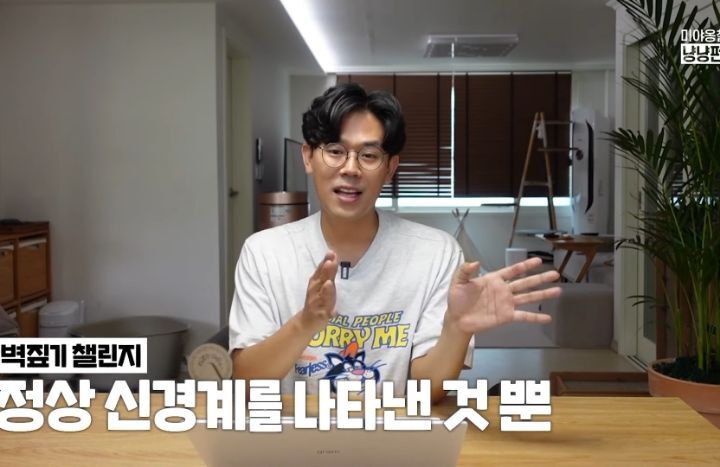 고양이 벽짚 챌린지는 진짜 지능과 관련 있을까? | 인스티즈