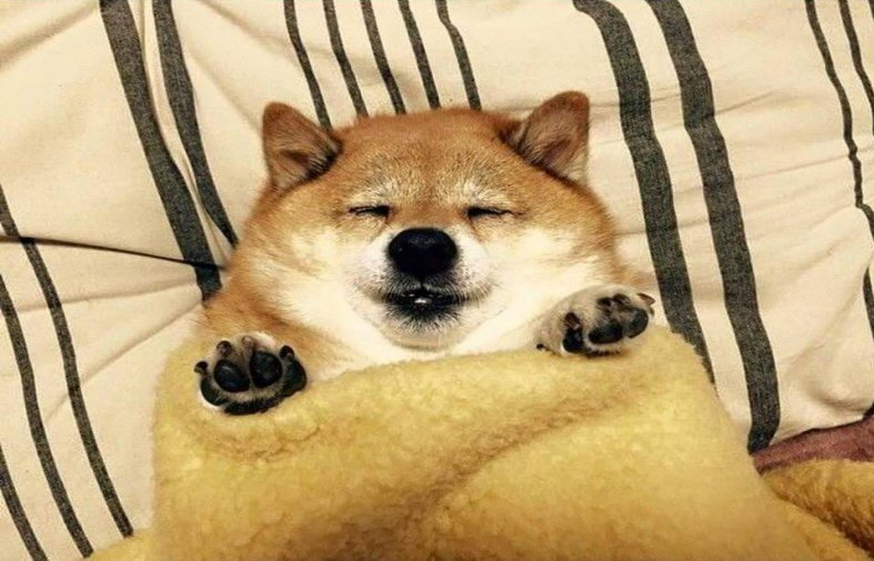 밤에 먹는 사과는 정말 독사과일까 | 인스티즈