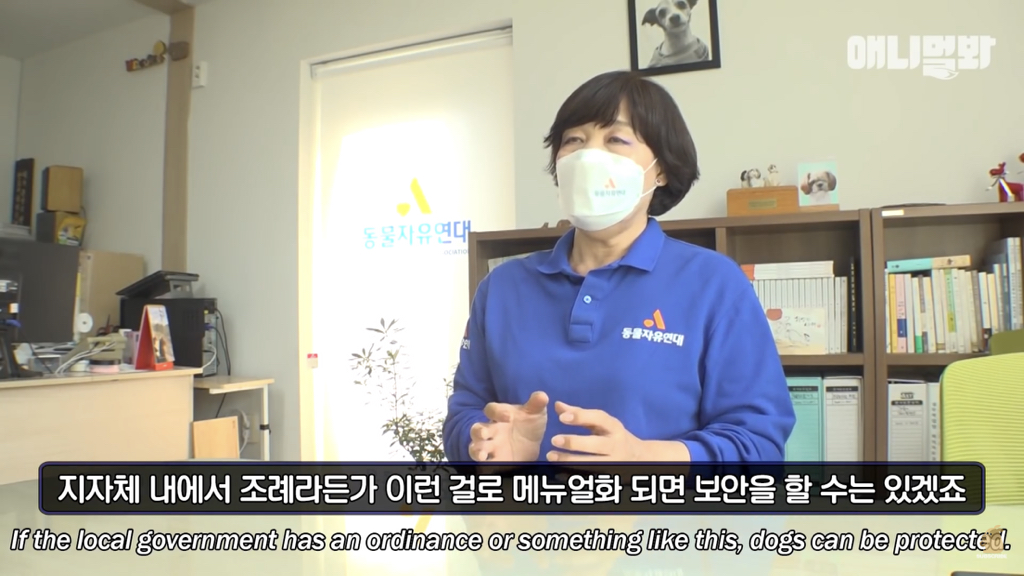 1년만에 자신을 두고 간 주인을 만난 강아지 반응 | 인스티즈
