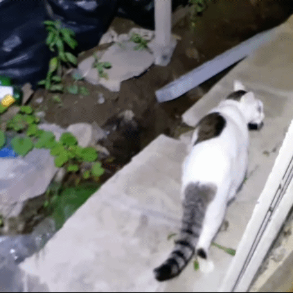 8a1979cdb03b6ef86a5798b7322b8898160ebe3f