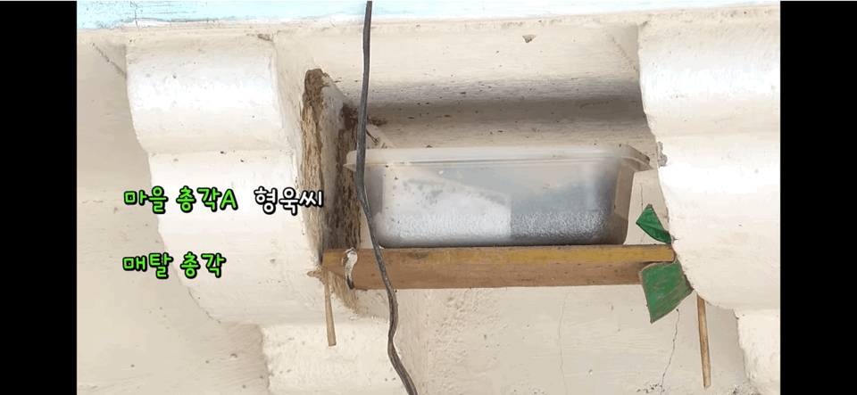 금은보화가 들어있는 박씨를 얼마나 받을지 궁금한 매탈남 | 인스티즈