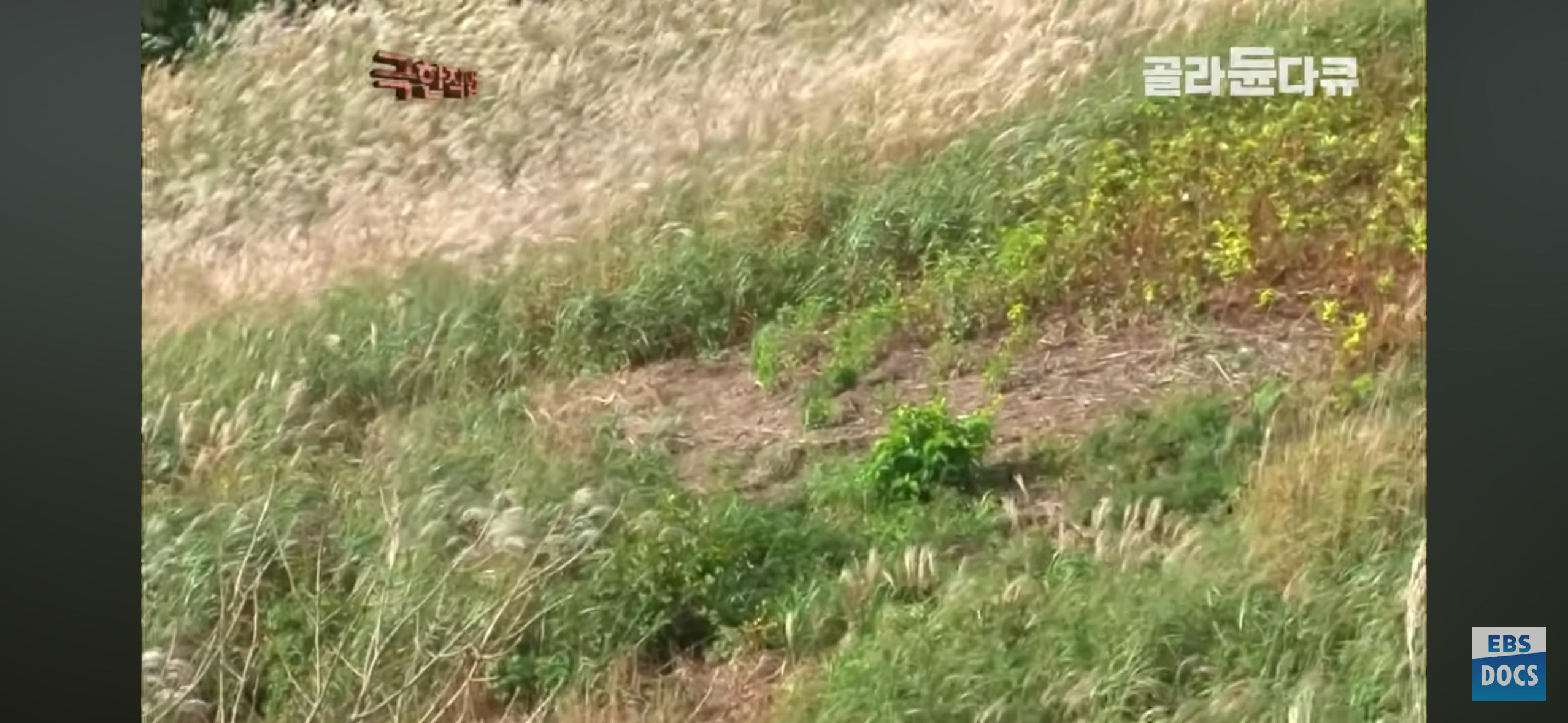 등산로, 어떻게 만들까?.jpg | 인스티즈