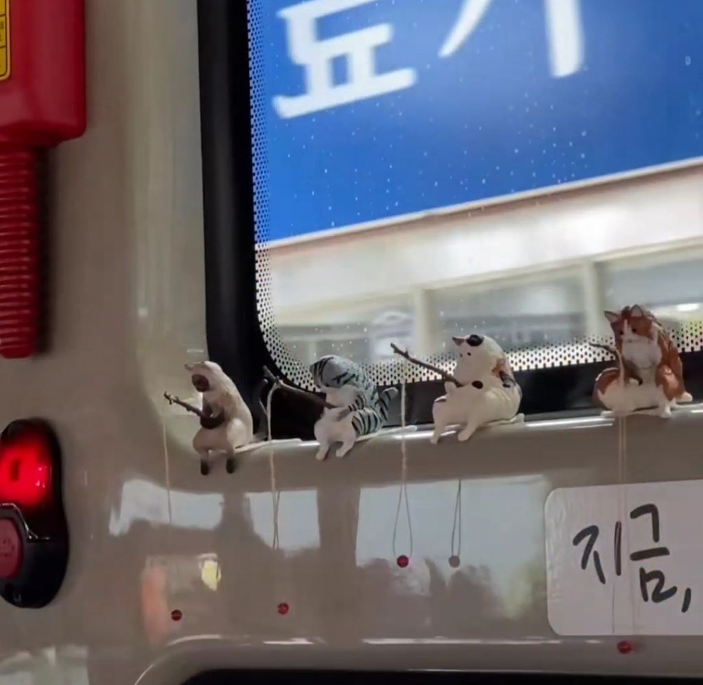 대구에 있다는 인형 주렁주렁 버스 | 인스티즈