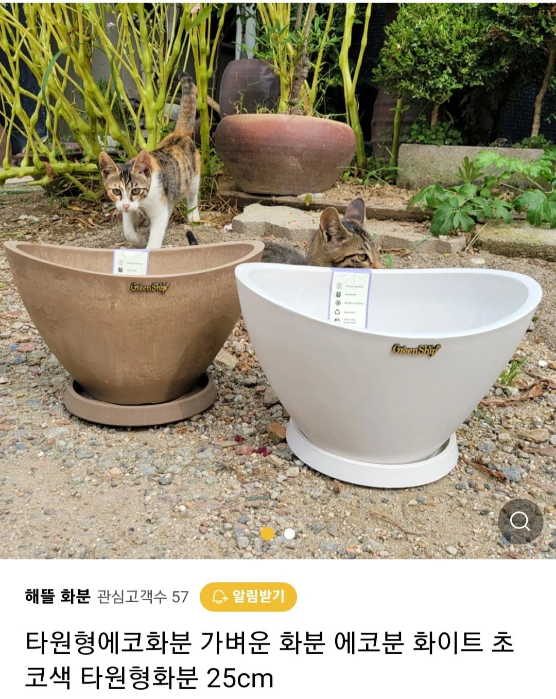 우리가게 물건 좋아요 고양이도 보세요 | 인스티즈