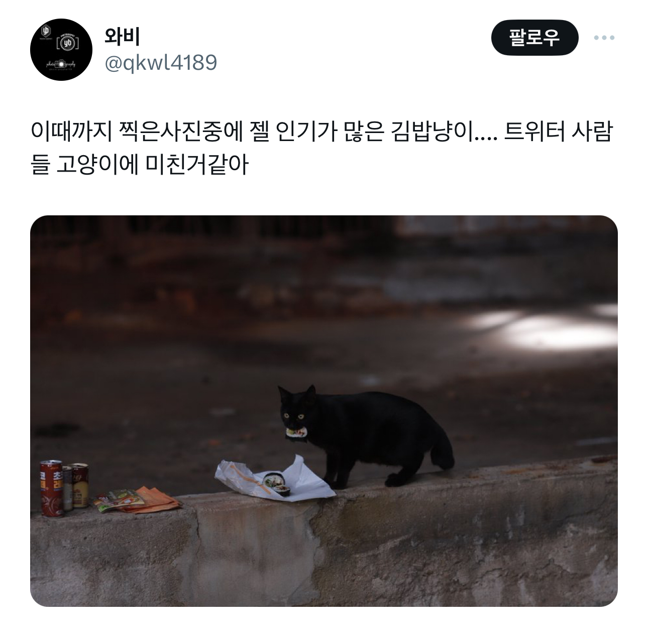 고양이김밥 이미지