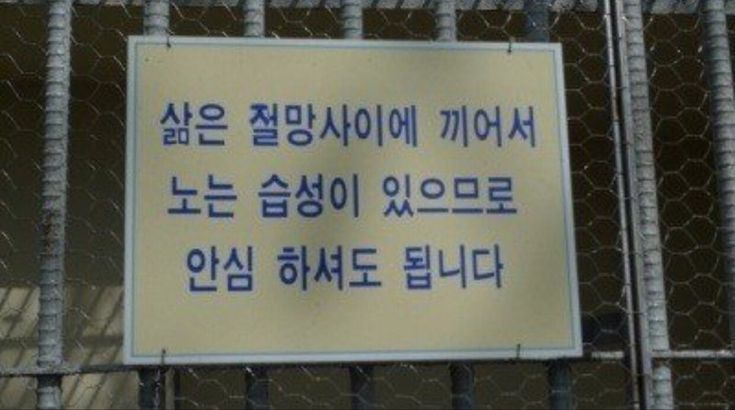 문장 뽑기: 인생에 힘이 되어주는 문장들이 들어있어요 | 인스티즈