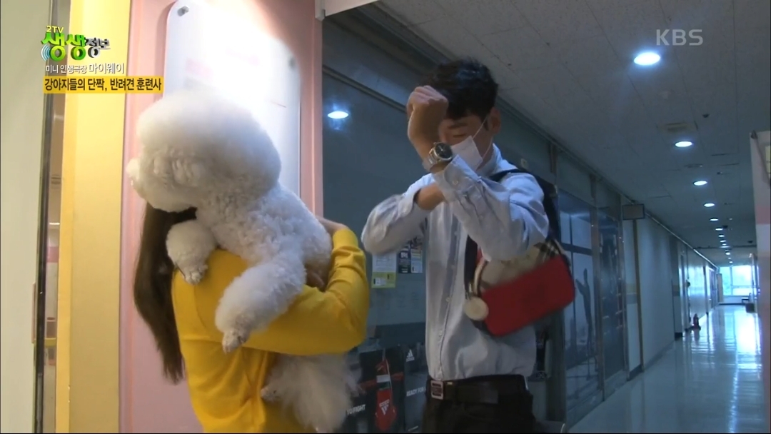 강아지 유치원.jpg | 인스티즈