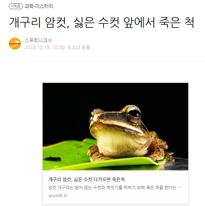 동물들도 사실 싫어하는 수컷 만나면 4b한다.jpg | 인스티즈