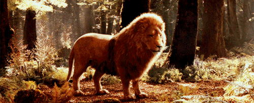 리부트 제작 확정된 2000년대 인기영화들 | 인스티즈