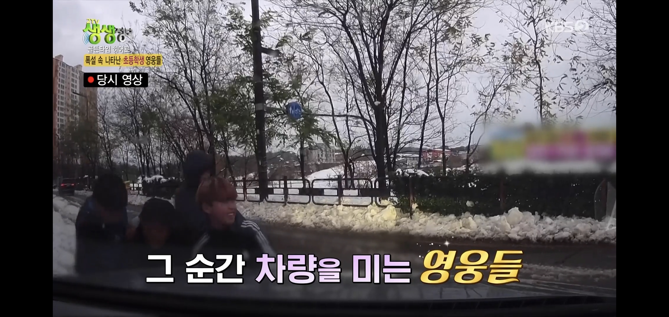 방금 생생정보통에 저번 폭설에 이슈였던 여시 나옴.jpg | 인스티즈