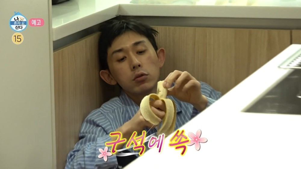 코쿤 이미지