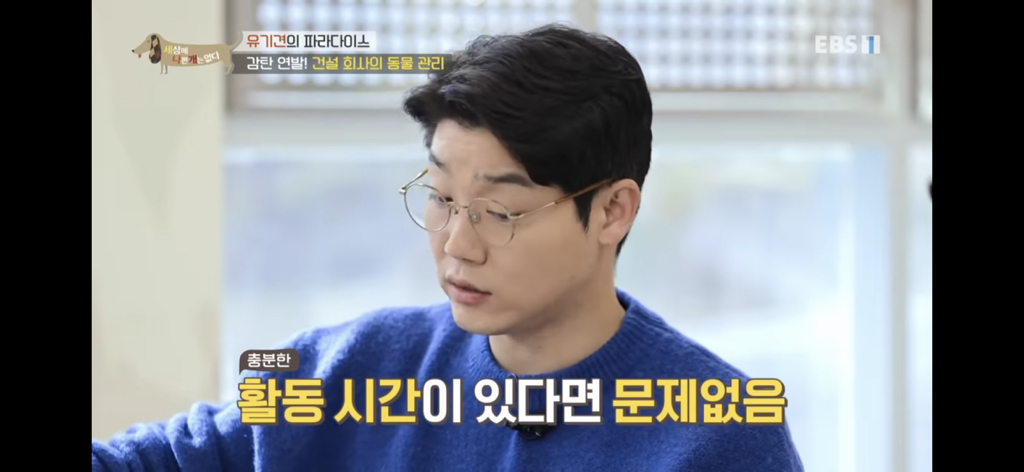 [세상에나쁜개는없다] 유기견의 파라다이스 | 인스티즈