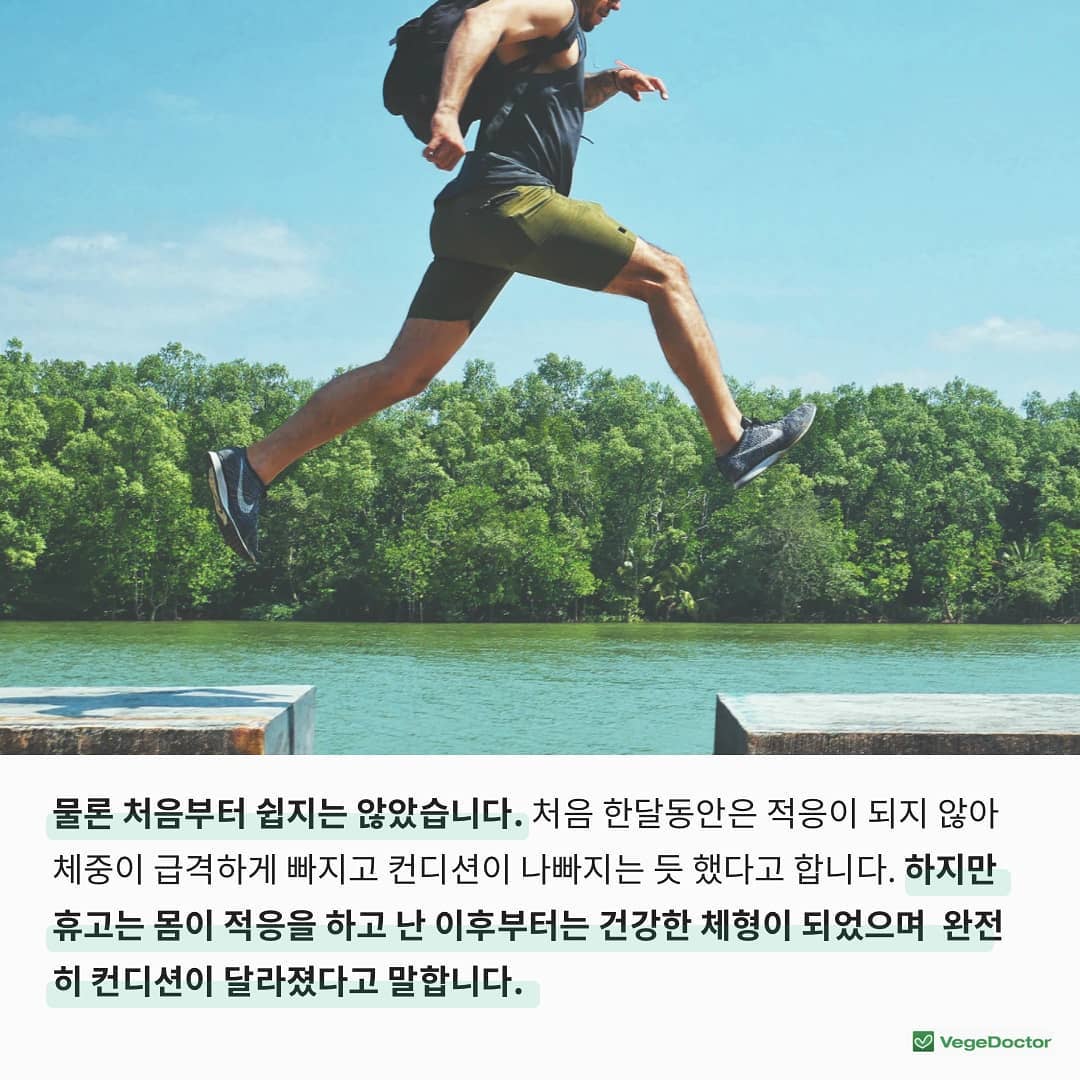 쌍둥이가 채식 vs 잡식으로 12주를 보낸다면? | 인스티즈