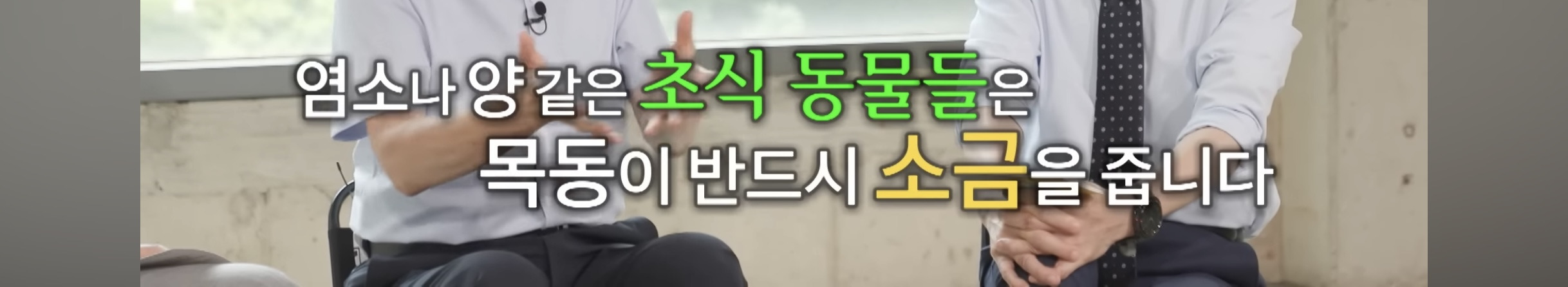 매일매일 물 2리터를 장기간 마시면 건강이 나빠질수 있다함 | 인스티즈