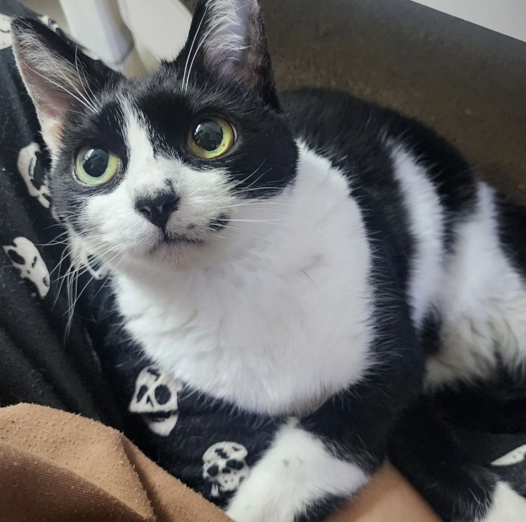 자기 아들 주려고 남의 딸 노는 거 뺏는 엄마;; | 인스티즈