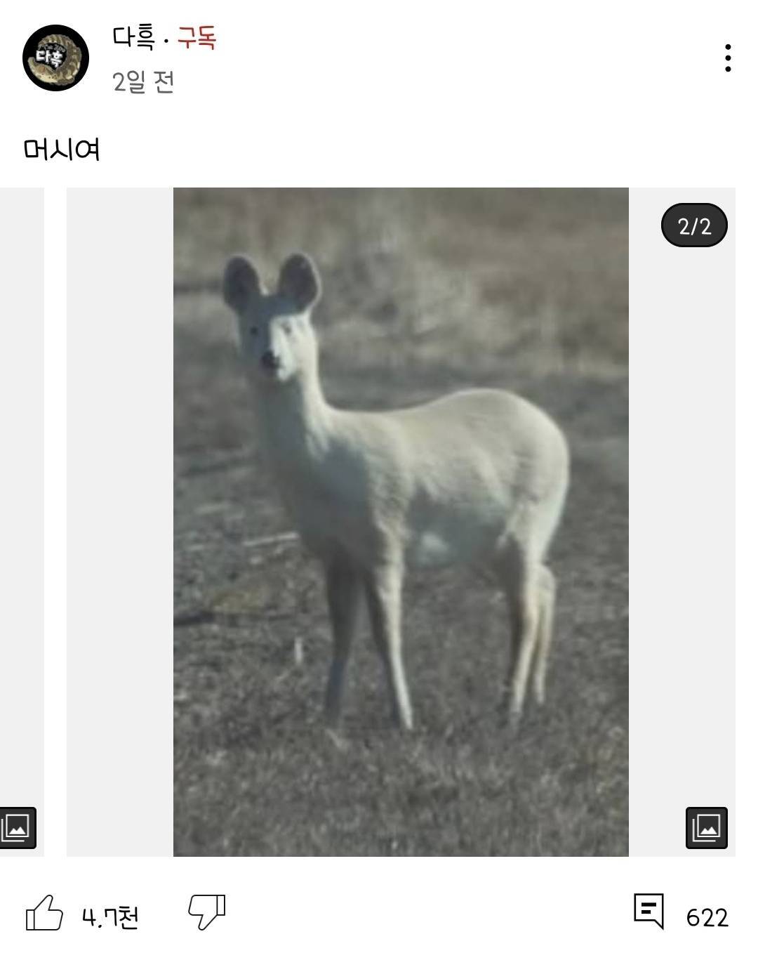 8bb7d519af71245864e2c0dfb5b96774f67fab84