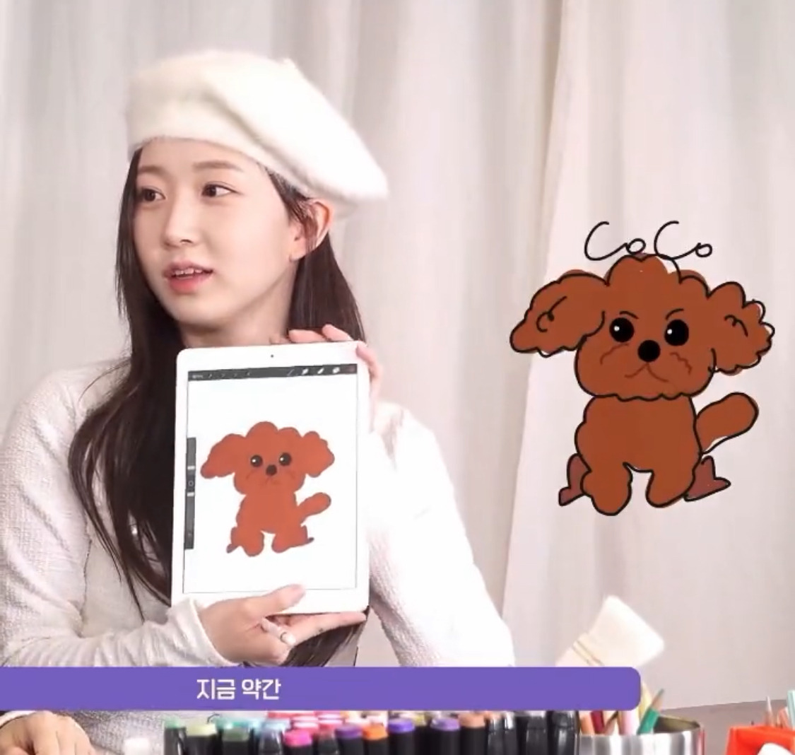 팬싸에서 작년에 무지개다리 건넌 반려견 닮은인형 받은 엔믹스 해원 | 인스티즈