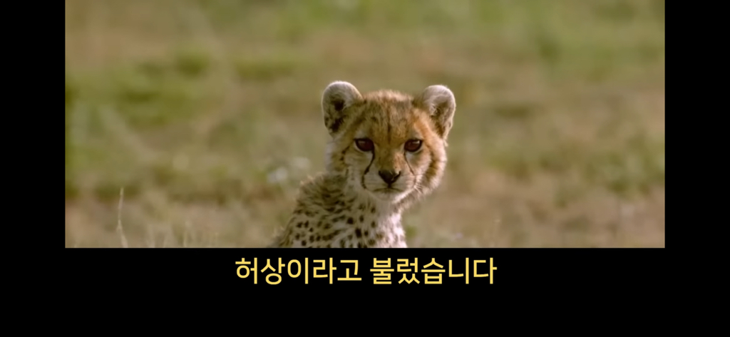 지구에서 환생 안하는방법🌏 | 인스티즈