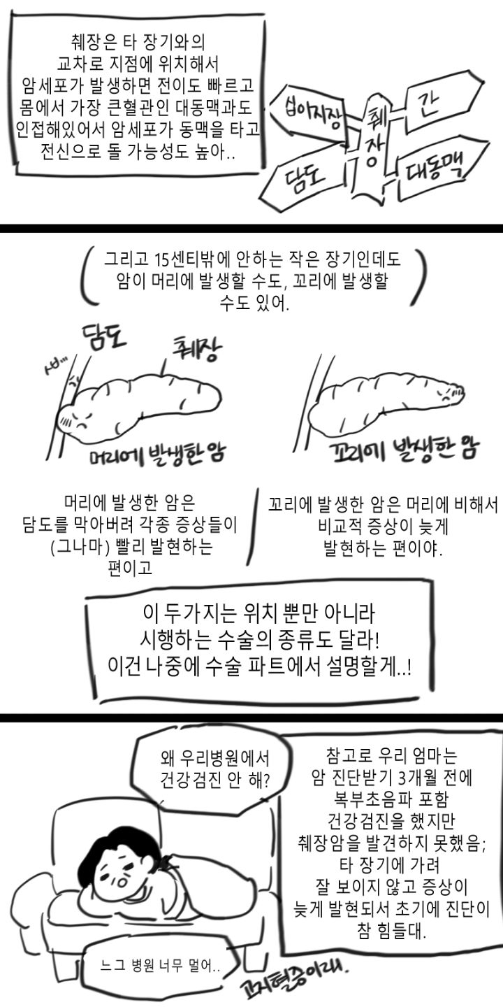 엥? 제가 췌장암 환자의 보호자라구요? 췌장암 보호자 만화!! - 콧멍에트💛잇게짤털 - ＊여성시대＊ 차분한 20대들의 알흠다운 공간