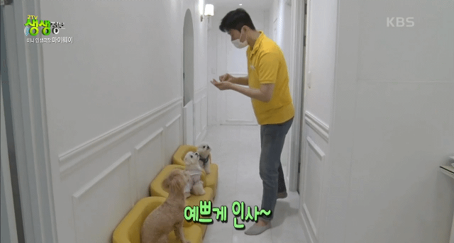 강아지 유치원.jpg | 인스티즈