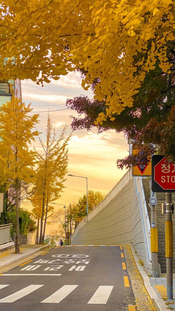 스압) 외국인들이 '한국 감성'을 느낀다는 감성 샷들.........⭐🌟.JPG | 인스티즈