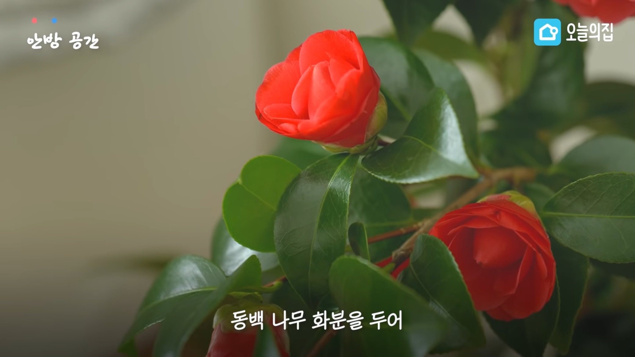 컨테이너에서 살고있는 독립유공자 후손 집 바꿔드리기.jpg | 인스티즈