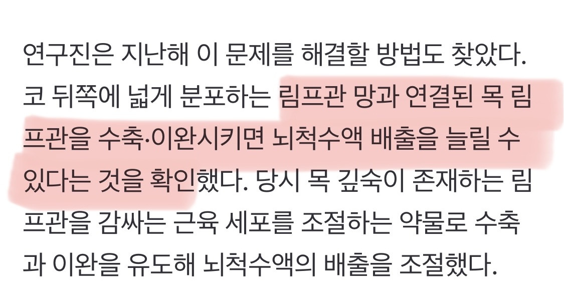 마사지로 뇌 노폐물 배출하여 치매 예방 | 인스티즈