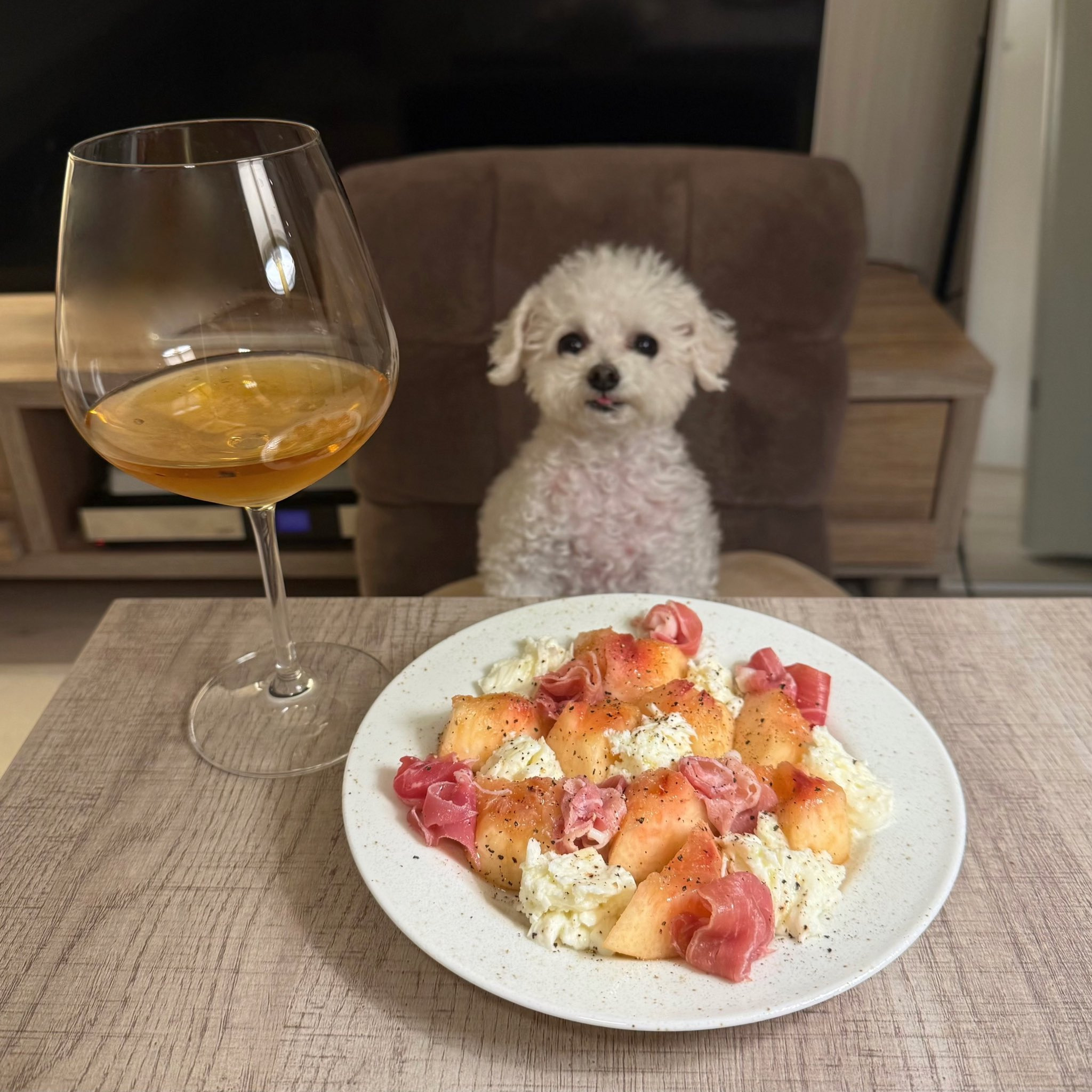반려견과 함께 밥먹는 사진으로 화제된 트위터 계정.jpg | 인스티즈