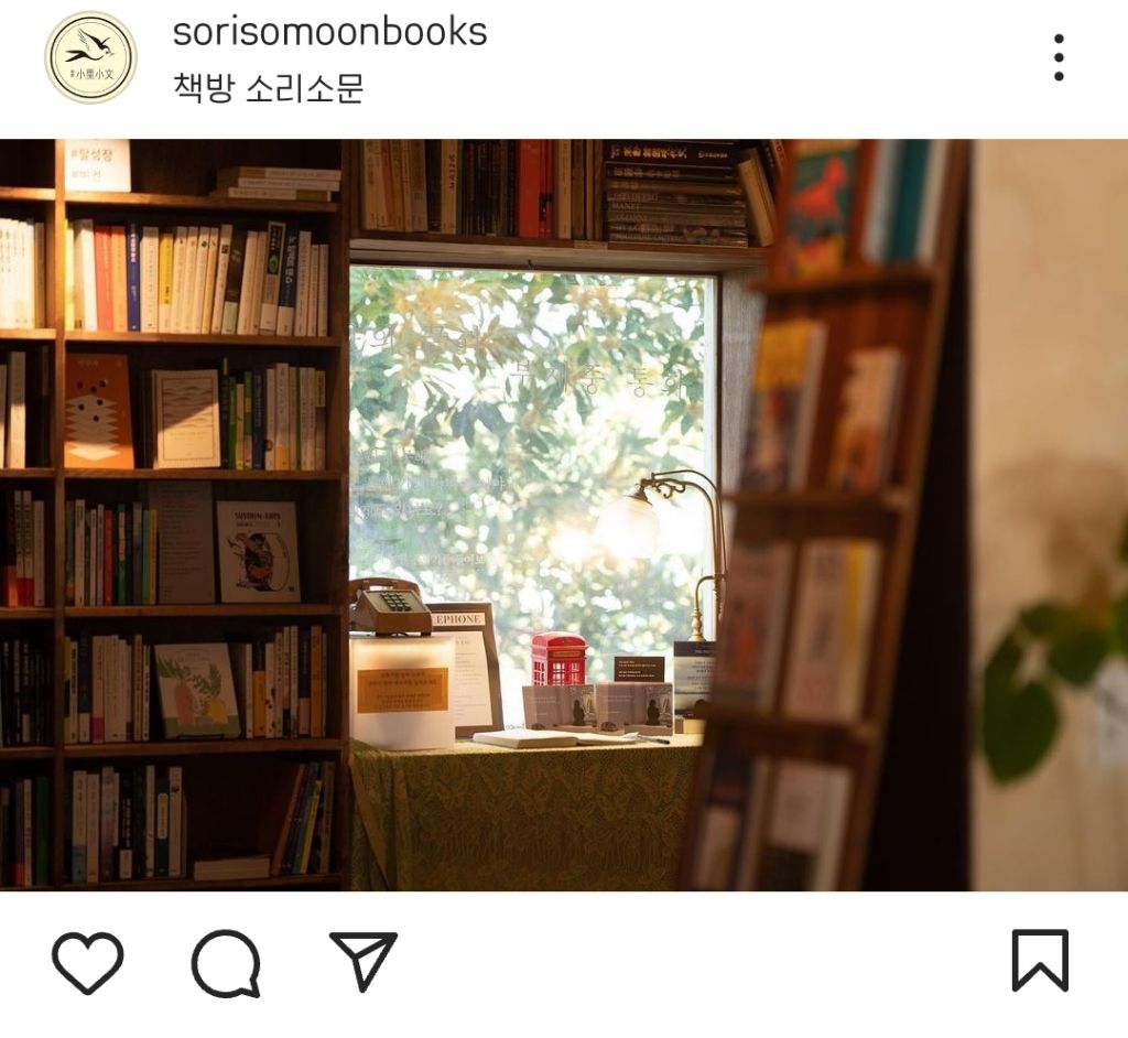 죽기 전에 꼭 한번 가봐야 할 서점으로 한국 최초로 선정된 제주 서점 '소리소문' | 인스티즈