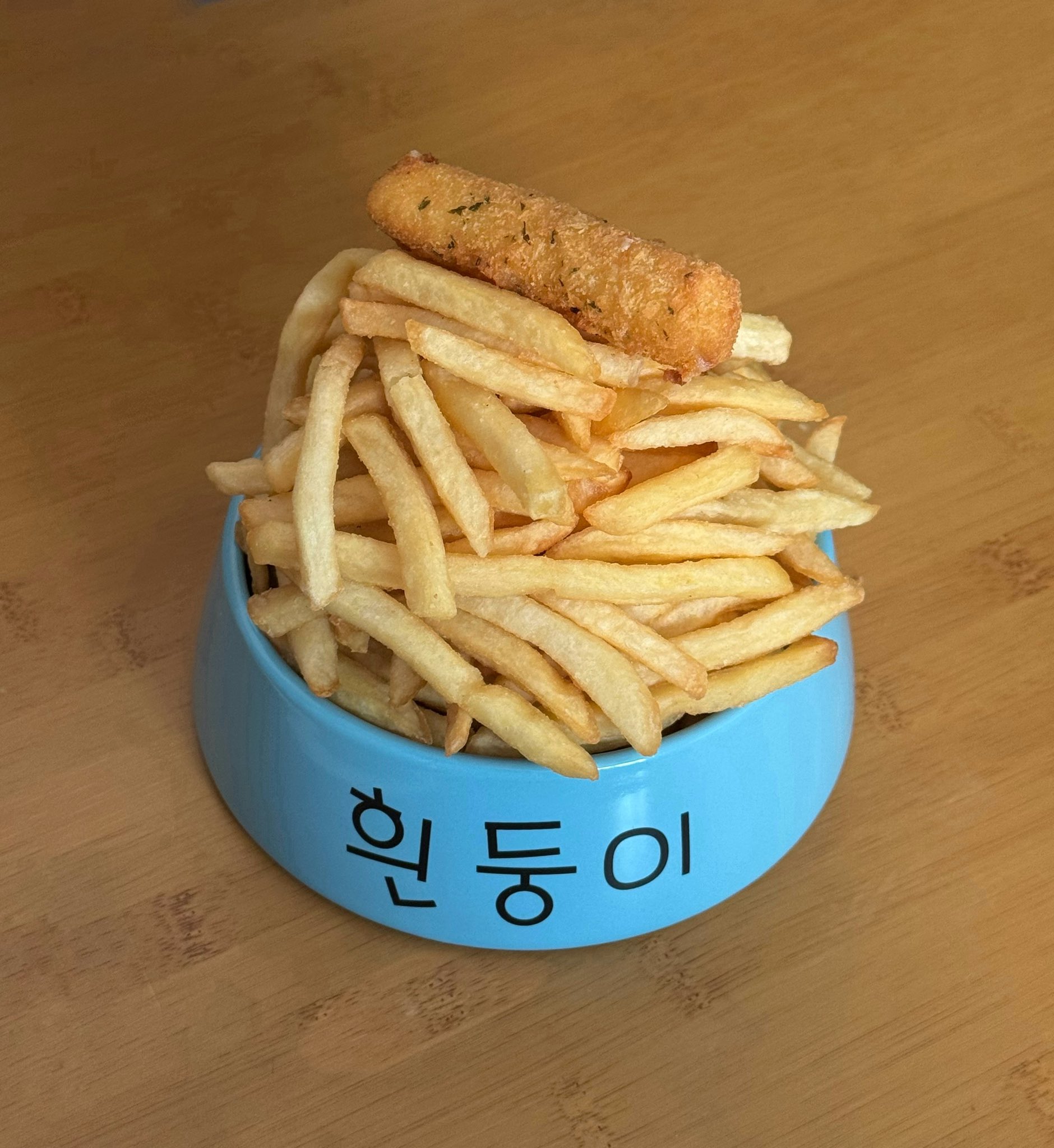 흰둥이 밥그릇에 밥먹는 사람 | 인스티즈