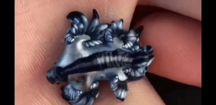 암만봐도 이세상 비주얼은 아닌 '블루드래곤' | 인스티즈