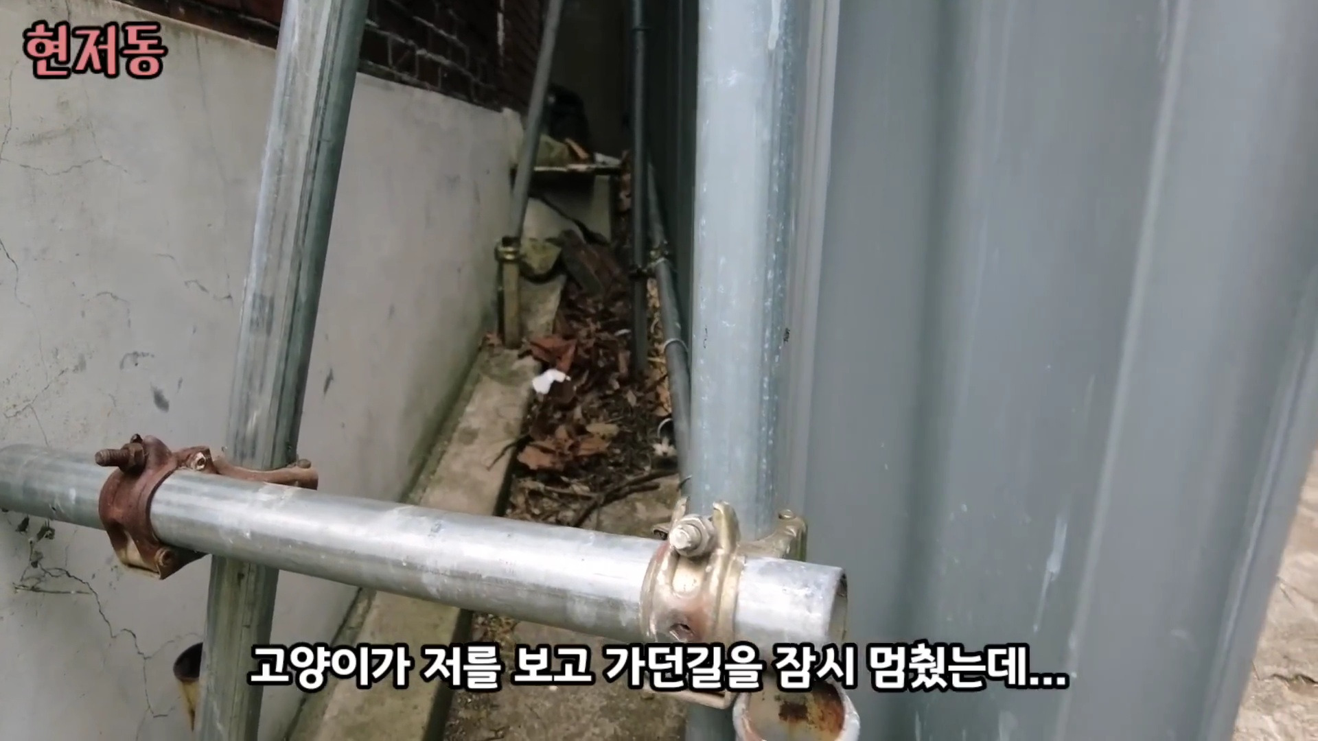 유령마을이라 불린다는 서울 달동네 현저동.jpg | 인스티즈